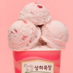 [연출/촬영/편집] 매일유업 상하목장 아이스크림 파인트 3종 홍보영상, 제품 영상 포트폴리오 - 크몽