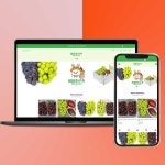 쇼핑몰만들기 - 크몽 포트폴리오 검색