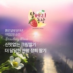 달베리농장 장희딸기, 상세페이지 포트폴리오 - 크몽