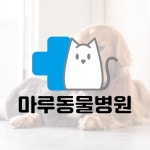 [동물병원 로고] 마루동물병원, 로고 디자인 포트폴리오 - 크몽