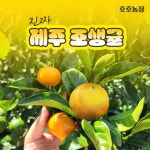 제주 조생귤 호호농장 상세페이지, 상세페이지 포트폴리오 - 크몽