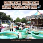 영상편집, 사진보정 전문가 HaeDesign해디자인 - 크몽