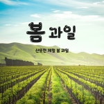 패키지 디자인, 마케팅 디자인 전문가 치퍼게인 - 크몽