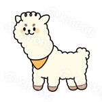 유튜브개발 - 크몽 포트폴리오 검색