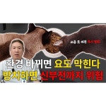 중앙동물병원 유튜브 영상, 유튜브 영상 포트폴리오 - 크몽