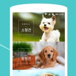 [애견분양 앱] 누구개, 앱 포트폴리오 - 크몽