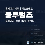 병원 B2B 마케팅 홈페이지, 블루커뮤니케이션즈, 홈페이지 신규 제작 포트폴리오 - 크몽