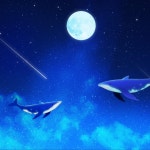 [기획/제작/편집/전파트 담당] 주식회사 남전 사이트 루프 애니메이션 제작, 2D 애니메이션 포트폴리오 - 크몽