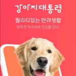 펫쇼핑몰 - 크몽 포트폴리오 검색