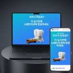 노페인치과의원, 아임웹 포트폴리오 - 크몽