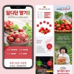 웹·모바일 디자인, 브랜드 디자인∙가이드 전문가 센스픽 - 크몽