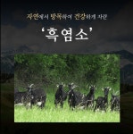 마케팅 디자인, 인쇄∙홍보물 전문가 쭈고 - 크몽