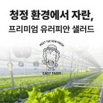 화면 뚫고 나오는 아삭함: 이지팜 유러피안 샐러드 상세페이지, 상세페이지 포트폴리오 - 크몽