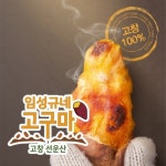 리빙 - 크몽 포트폴리오 검색