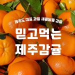 감귤상세페이지 - 크몽 포트폴리오 검색