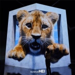 [뮤지엄 헤이] 펫 아나모픽 미디어아트 [파주], 미디어 아트 포트폴리오 - 크몽