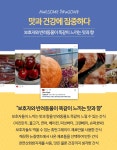 애견간식 - 크몽 포트폴리오 검색