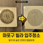 청소 전문가 청소대신하는남자 - 크몽