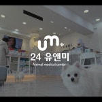 [촬영/편집]동물병원 소개영상, 유튜브 영상 포트폴리오 - 크몽