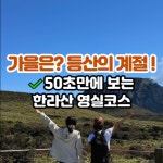브이로그, 숏폼, 샤오홍슈 영상편집(자막가능), 숏폼 영상 포트폴리오 - 크몽