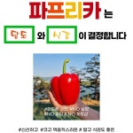 쇼핑몰.분양몰.종합몰제작.판매가능.기본적인 몰오픈시 필요한 서류진행. 리뷰.챗봇.연결가능함, 쇼핑몰 신규 제작 포트폴리오 - 크몽