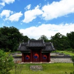 [촬영/편집] 2024년 전주이씨 영응대군 묘소 제작 영상, 드론 촬영 포트폴리오 - 크몽