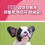 [편집/그래픽] 바른뉴트리펫 유튜브 쇼츠 영상 편집, 숏폼 영상 포트폴리오 - 크몽