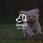 DANG.Q(댕큐) 애견용품 전문점 로고, 로고 디자인 포트폴리오 - 크몽