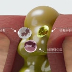[3D 영상] (주)블랭크 모공 노폐물 제거 소구포인트 3D GIF 영상, 모션그래픽 포트폴리오 - 크몽