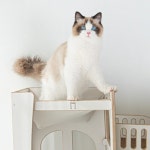 전문가가 필요한 순간, 프리랜서 마켓 No.1 크몽