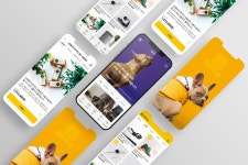 Adobe XD - 크몽 포트폴리오 검색