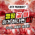 폭립 인스타그램 릴스영상촬영 릴스제작 숏폼 캠핑 음식 고기, 숏폼 영상 포트폴리오 - 크몽