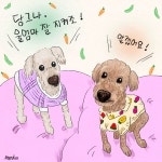 사랑스러운 반려동물을 그림으로 남겨드려요.!, 일러스트 포트폴리오 - 크몽