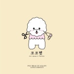 전문가가 필요한 순간, 프리랜서 마켓 No.1 크몽