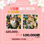 영화설비;공감영상촬영편집및공연기획;영화국악사 | 컨텐츠촬영 - 크몽 포트폴리오 검색