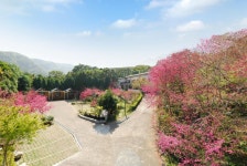 헤 야 레저 랜드 B&B | 2023년 최신 가격 | 호텔 | 스카이스캐너
