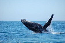 에덴 게이트웨이 홀리데이 파크 | 2023년 최신 가격 | 호텔 | 스카이스캐너