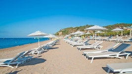 카크투스 플라야 | 2023년 최신 가격 | 호텔 | 스카이스캐너