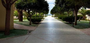 Zambrone 호텔 Villaggio Le Muse - 스카이스캐너