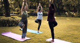 아미고스 인디아 | 2023년 최신 가격 | 호텔 | 스카이스캐너