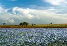 코트야드 휴스톤 다운타운 / 컨벤션 센터 - 스카이스캐너 호텔