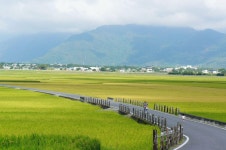 타이둥 호텔 포커스 타이충 비앤비 - 스카이스캐너