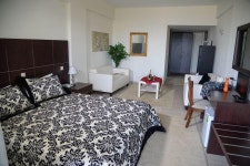 아르타 호텔 아르타 팰리스 - 스카이스캐너