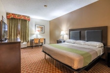 파인 블러프 인 & 스위트 - 스카이스캐너 호텔