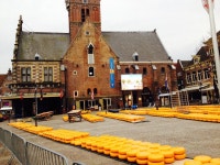 킹스 인 시티 호스텔 - 호텔 알크마르 - 스카이스캐너 호텔