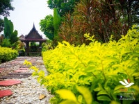 붐 포레스트 호텔 - 스카이스캐너 호텔