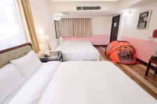 피치 호텔 - 스카이스캐너 호텔