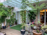 6ix Senses Boutique Villa - 스카이스캐너 호텔