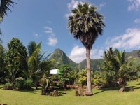 빌리지 테마노하 - 스카이스캐너 호텔