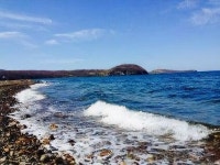 호스텔 그린 덕 - 스카이스캐너 호텔